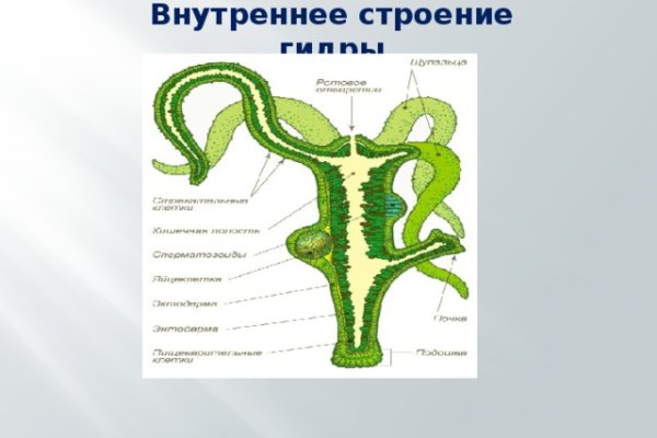 Кракен даркнет сайт на русском